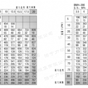 BMH系列并列油口拼搏在线平台(中国)官网马达