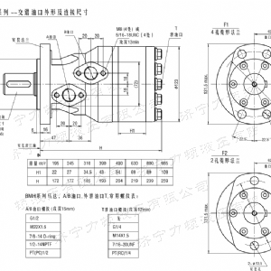 BMH系列交错油口拼搏在线平台(中国)官网马达